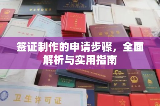 松岭签证制作的申请步骤，全面解析与实用指南